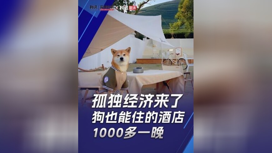2025澳彩开奖记录查询表下载手机版最新,陈赫给工作室发开工红包,创新典义解读_静态版V11.6