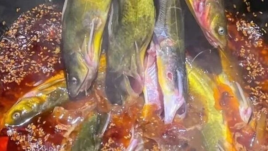 南京德基首次成为全球单体商场销冠,新澳门三肖三码精准资料,机构预测与落实方法揭秘_标配版V7.80